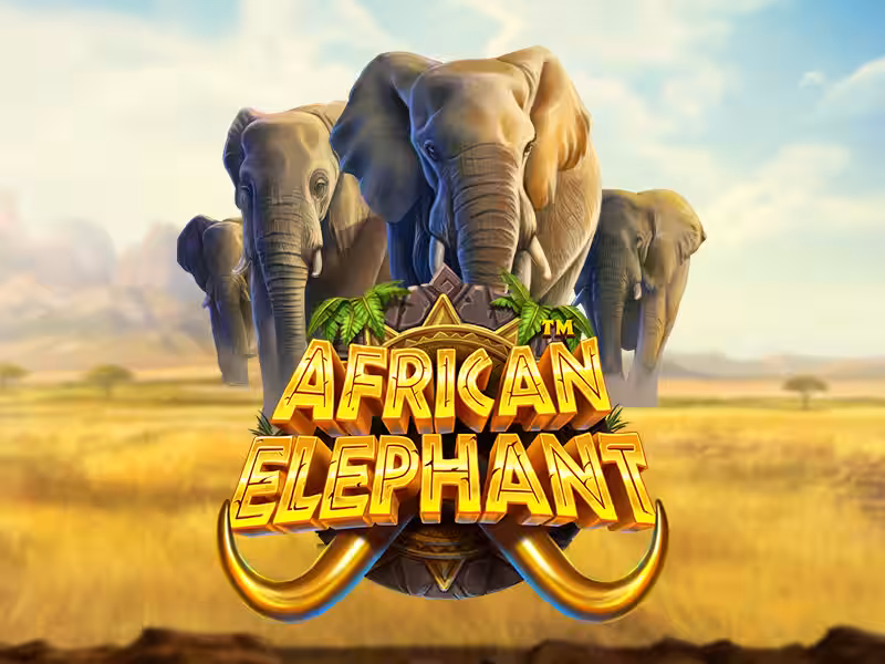 African Elephant